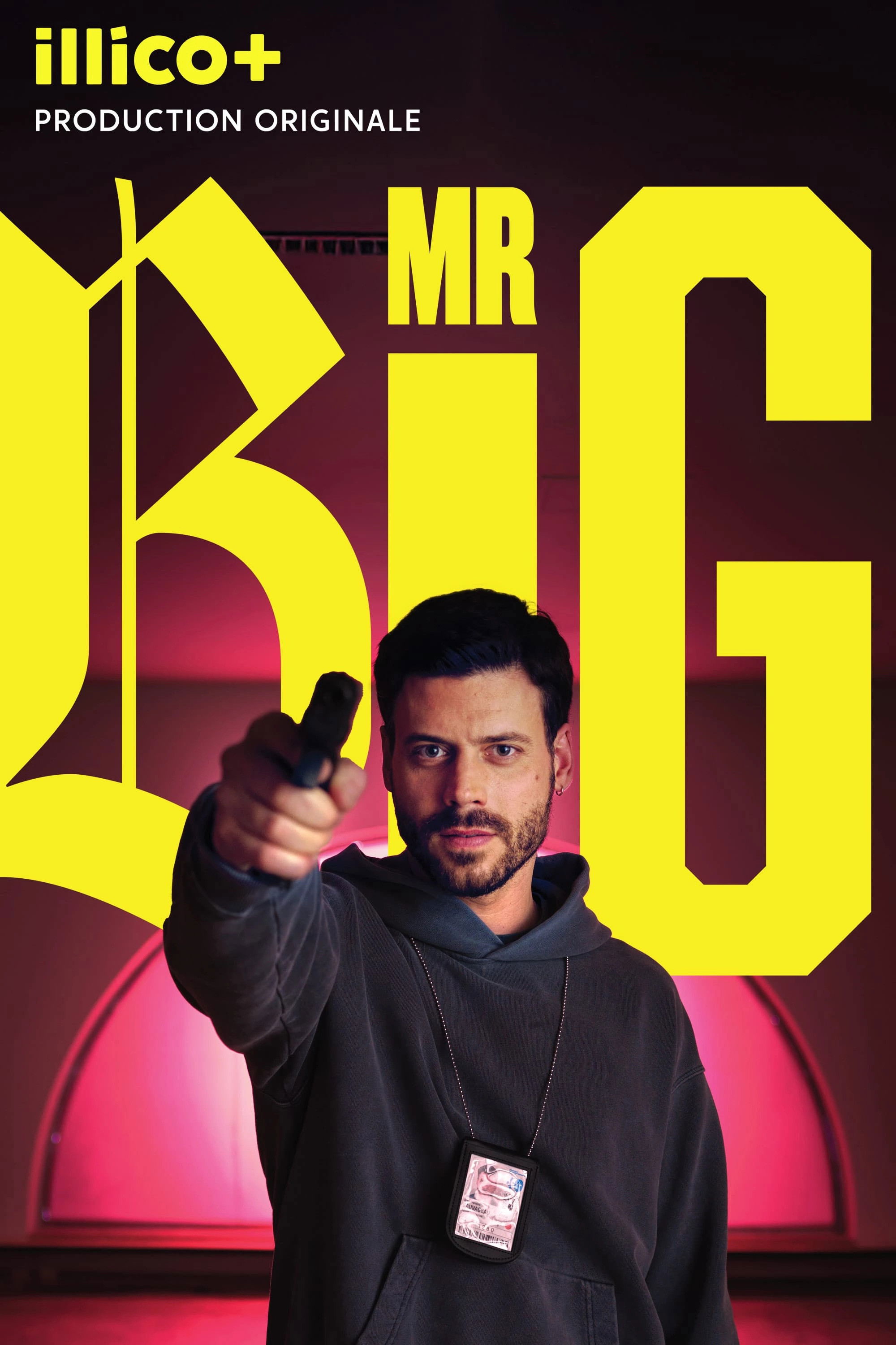voir serie MR BIG saison 1