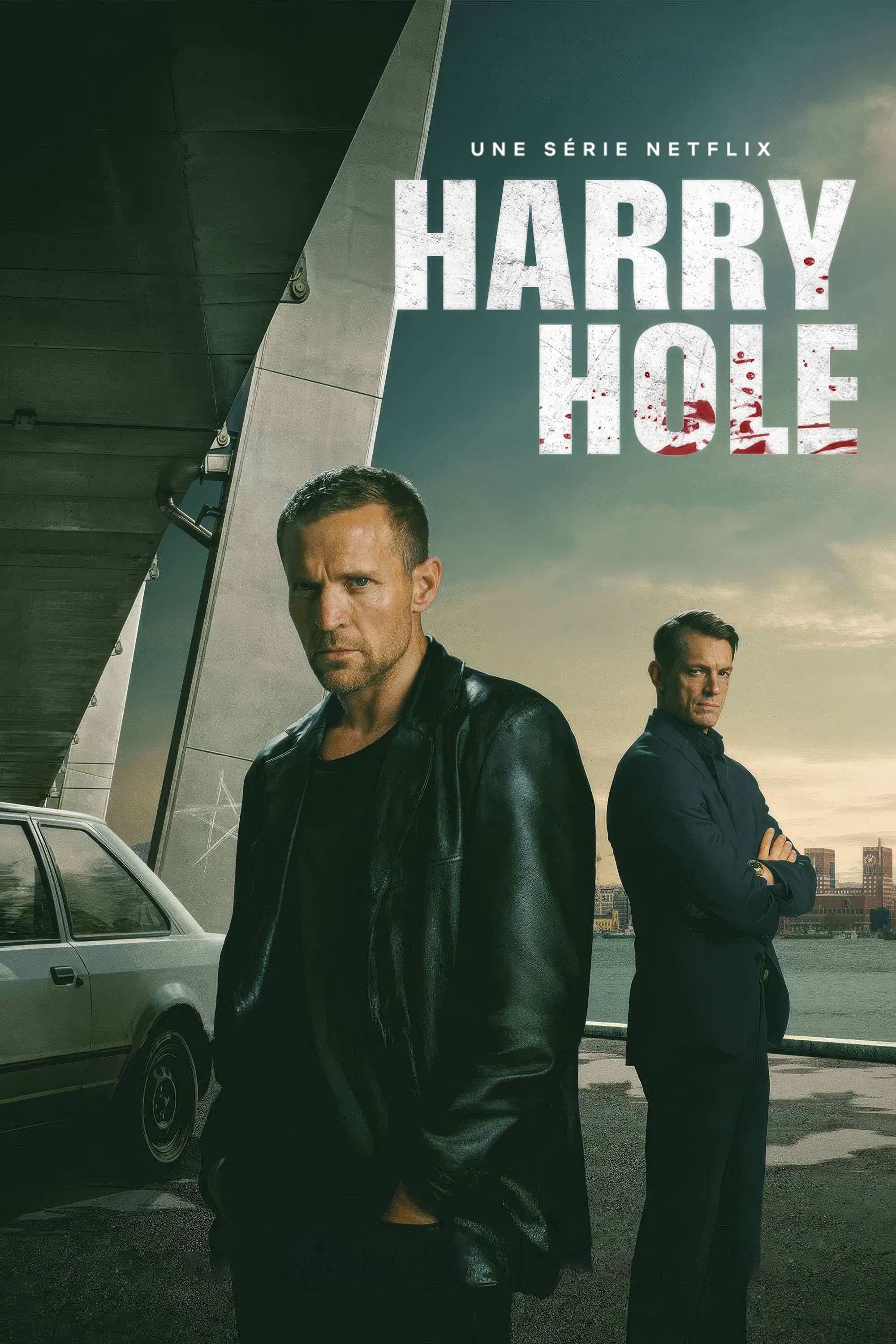 voir serie Detective Hole saison 1