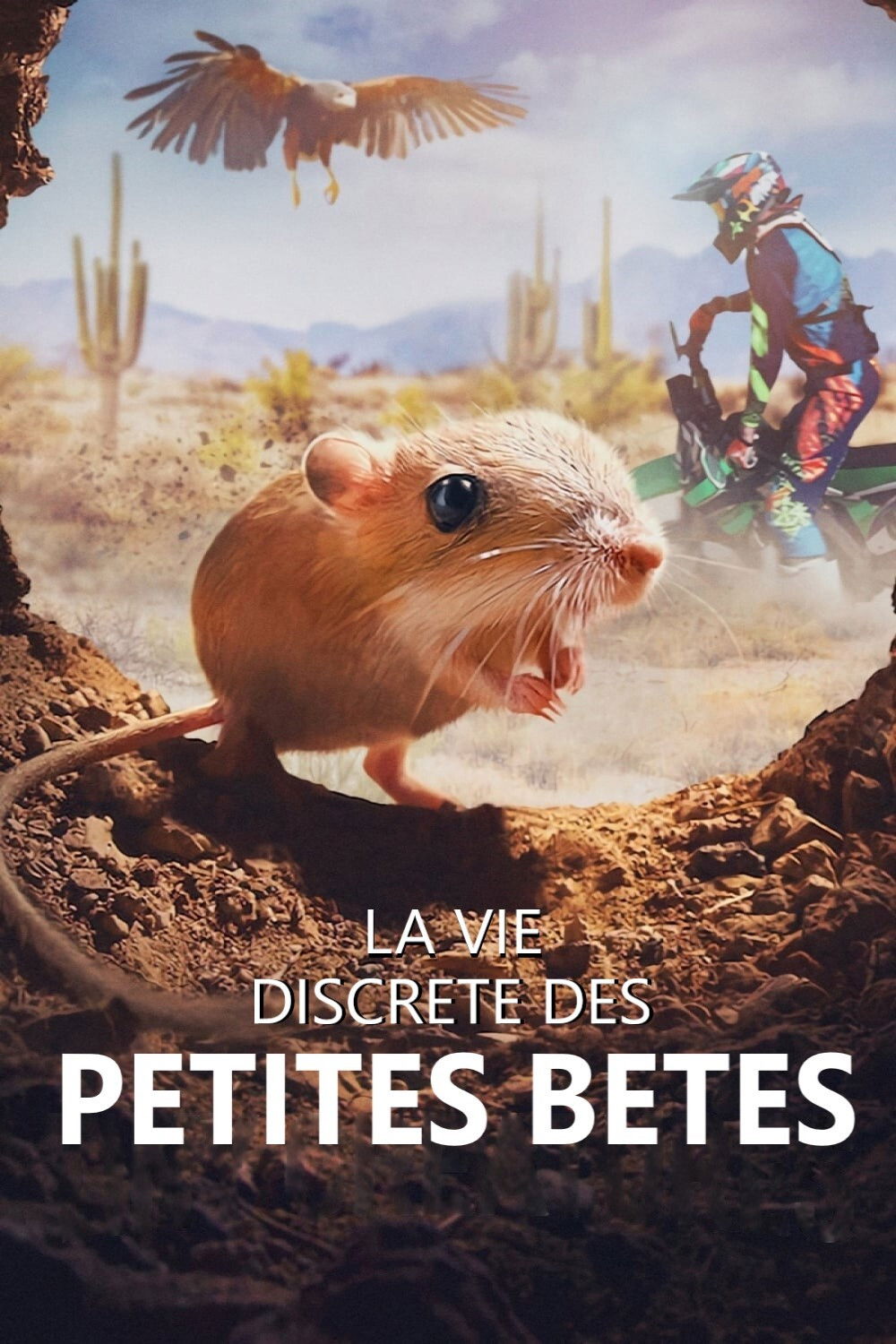 voir serie La vie discrète des petites bêtes saison 1