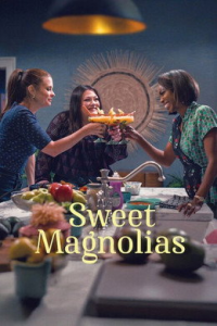 voir serie A l'ombre des magnolias saison 4