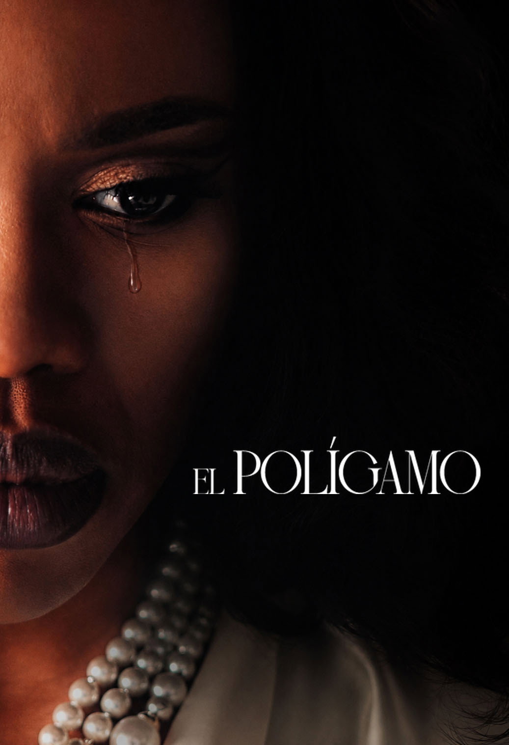voir serie The Polygamist saison 1